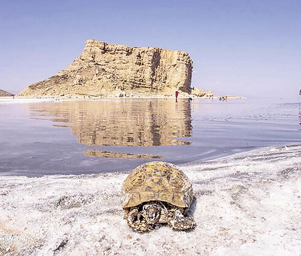 Lake Urmia turning into a salt desert in June 2022