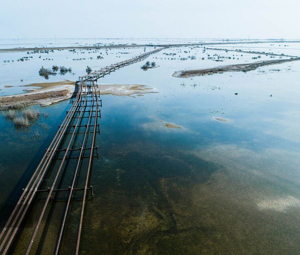 Hoor al-Azim Marshlands (January 2023)