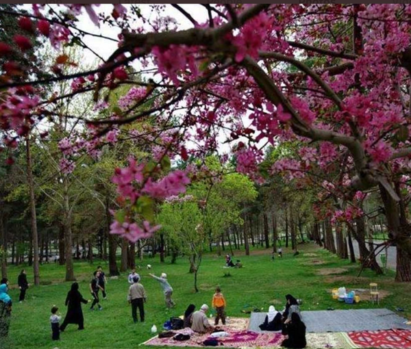 Iran-13-nature-spring-fest-picnic (April 2023)