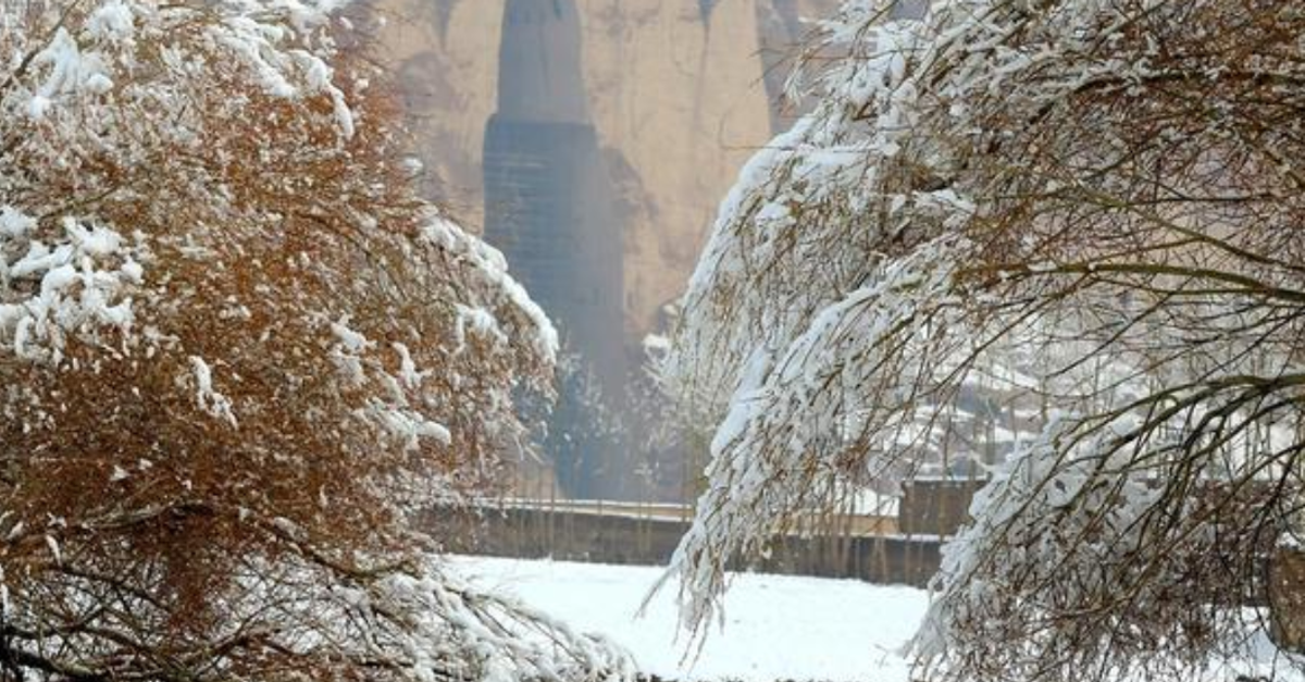Afghanistan Experiences Harshest Winter Season, Says WHO Afghanistan Experiences Harshest Winter Season, Says WHO