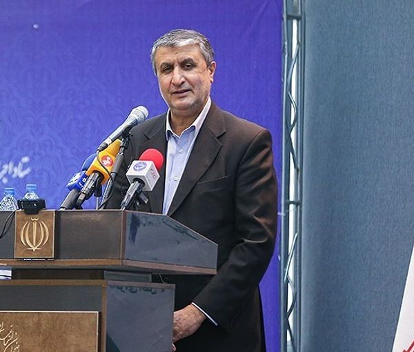 Mohammad Eslami, the chief the Atomic Energy Organization of Iran (file photo)