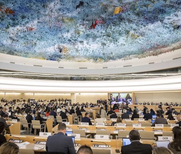 UN Human Rights Council in session (file photo)