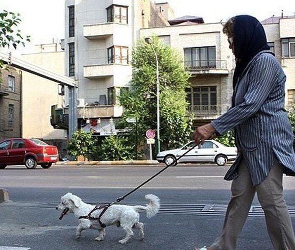 A woman walking a dog in a Tehran street in Iran. Undated