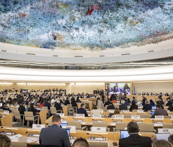 UN's Human Rights Council meeting in Geneva. Nov. 2, 2002