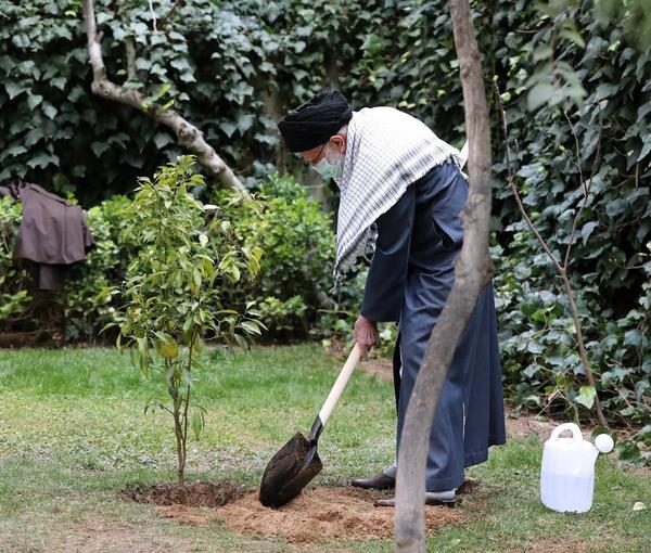 Iran's Supreme Leader Ali Khamenei planting a tree . March 6, 2022