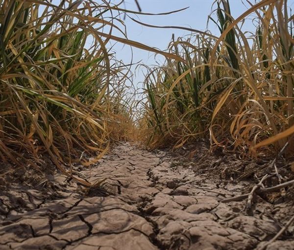 A drought-hit lot of land in southern Iran (file photo)